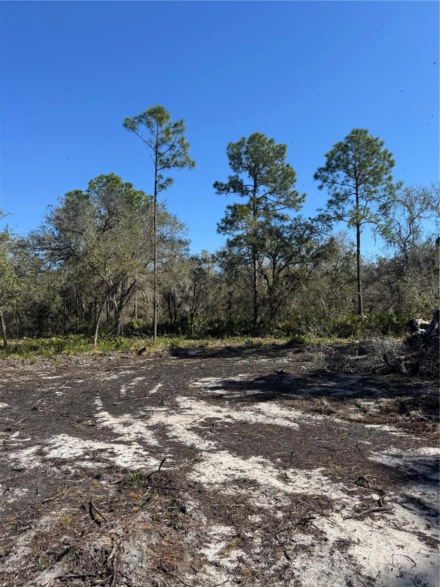 South Shore Drive Lake Wales FL 33898