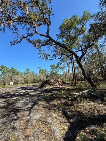 South Shore Drive Lake Wales FL 33898