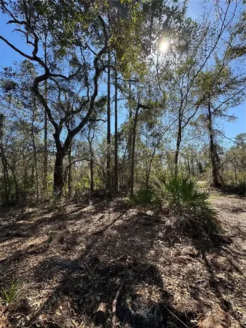 South Shore Drive Lake Wales FL 33898
