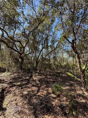 South Shore Drive Lake Wales FL 33898