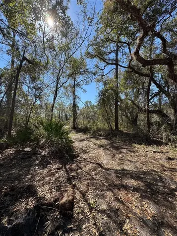 South Shore Drive Lake Wales FL 33898