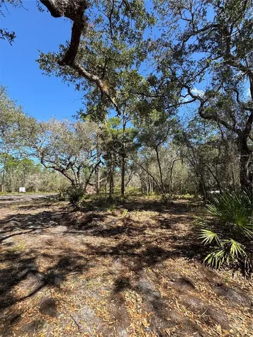 South Shore Drive Lake Wales FL 33898