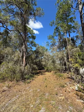 South Shore Drive Lake Wales FL 33898