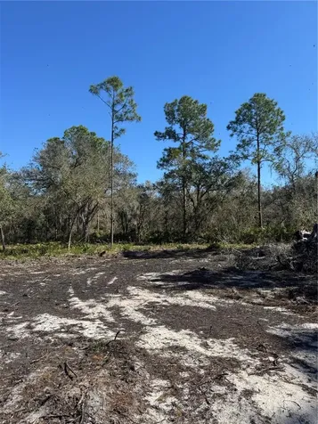 South Shore Drive Lake Wales FL 33898