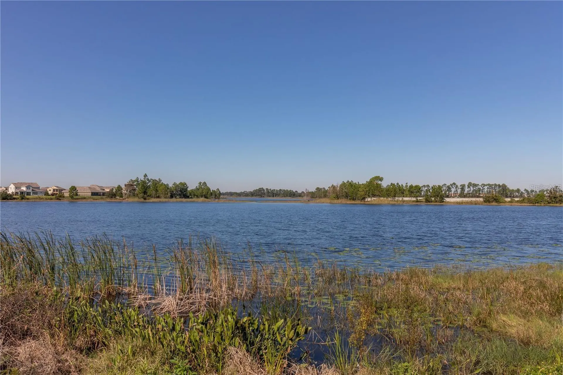 16507 Outter Grove Alley Winter Garden FL 34787