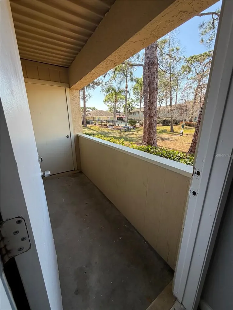 226 Berry Tree Place Brandon FL 33510