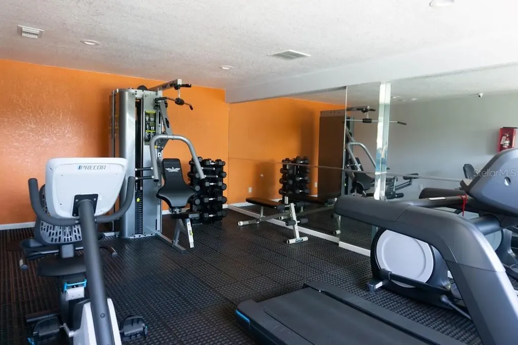 226 Berry Tree Place Brandon FL 33510