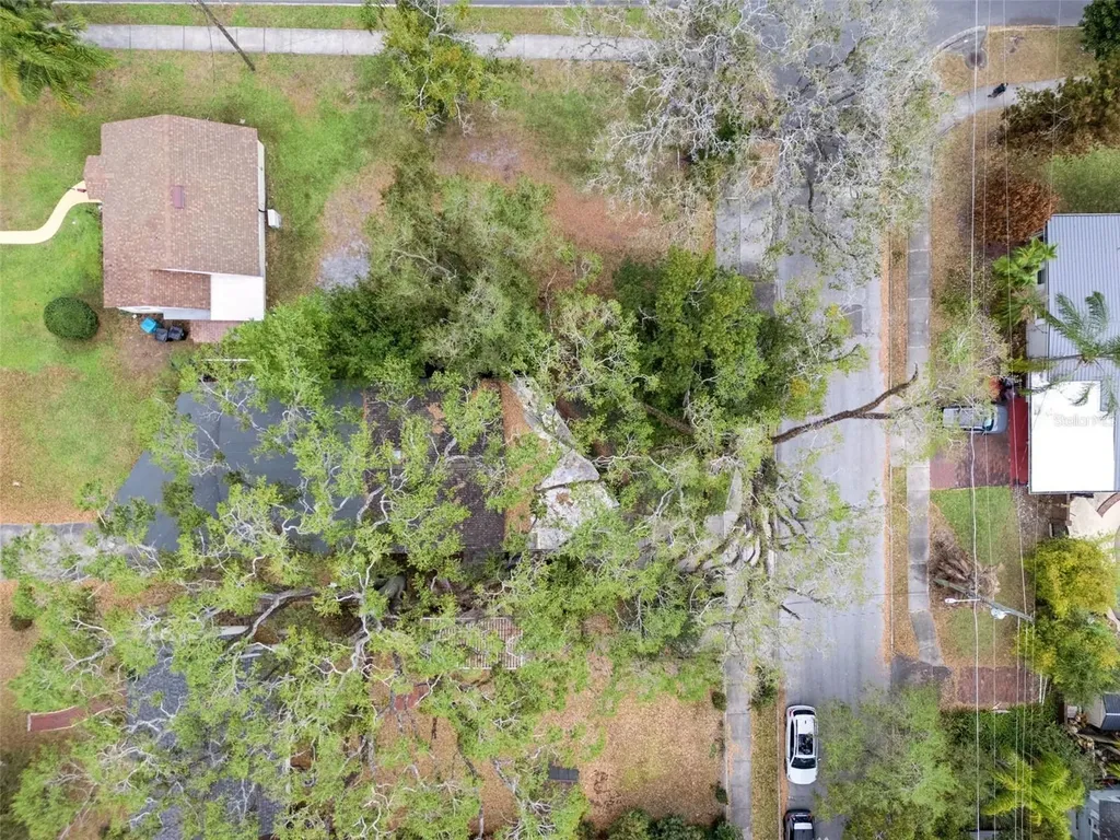 2516 Helen Avenue Orlando FL 32804