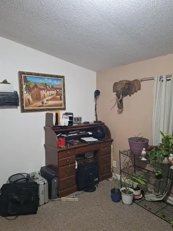 14899 SW 92nd Way Lake Butler FL 32054