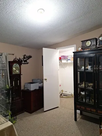 14899 SW 92nd Way Lake Butler FL 32054