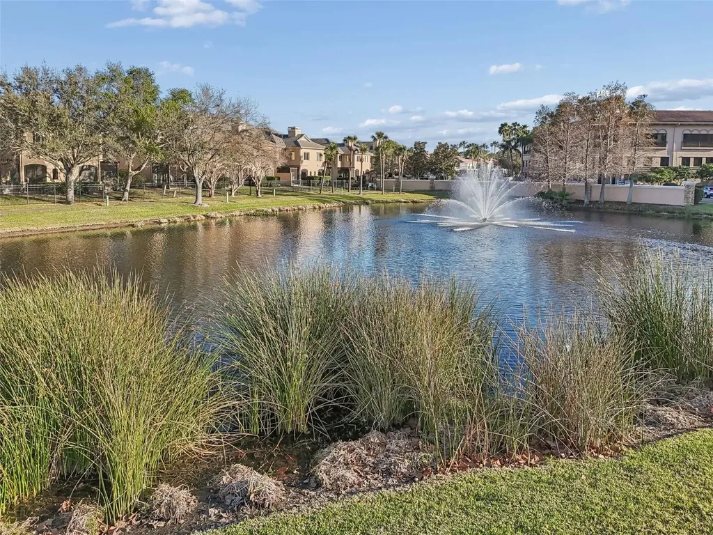 610 Saxony Boulevard St Petersburg FL 33716