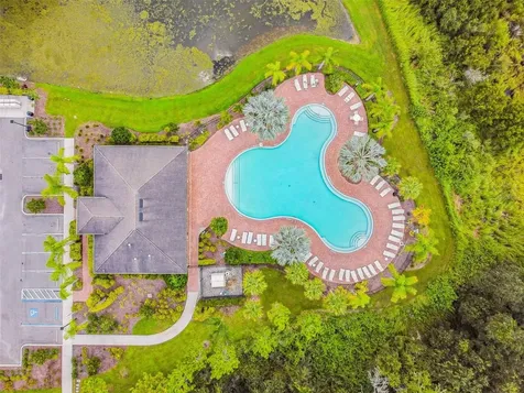 37099 Goffaux Loop Zephyrhills FL 33541