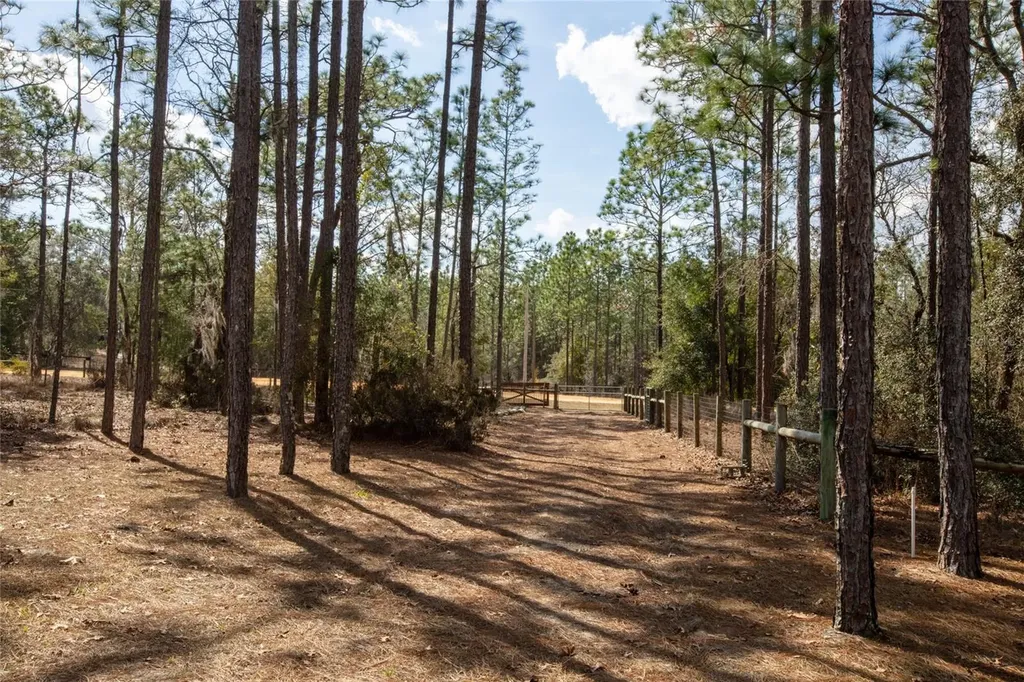 110 Hill Top Loop Hawthorne FL 32640