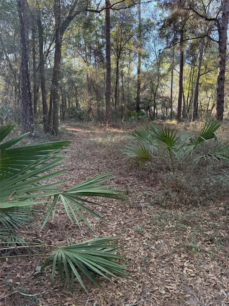 Tbd NE 150 Avenue Fort Mc Coy FL 32134