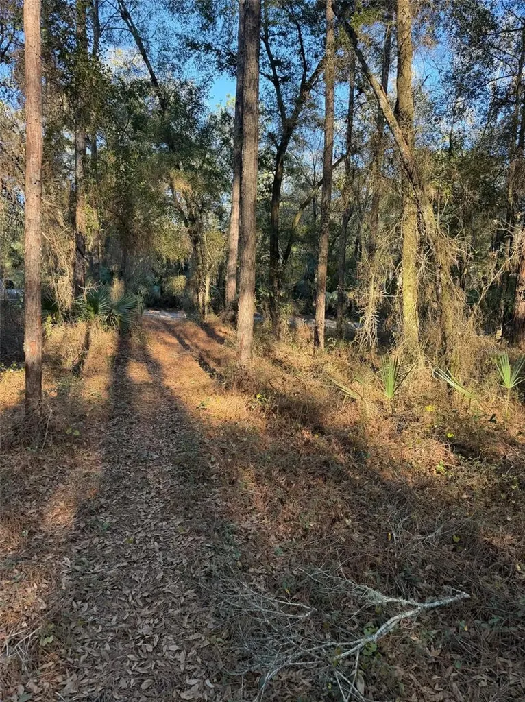 Tbd NE 150 Avenue Fort Mc Coy FL 32134
