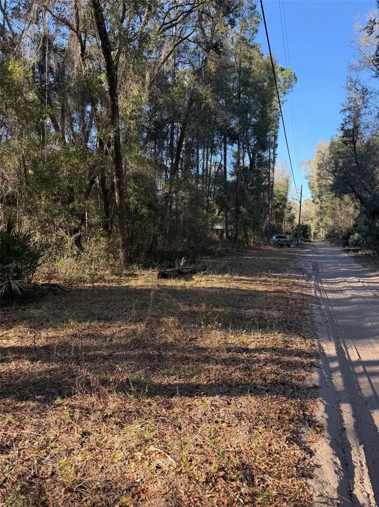 Tbd NE 150 Avenue Fort Mc Coy FL 32134