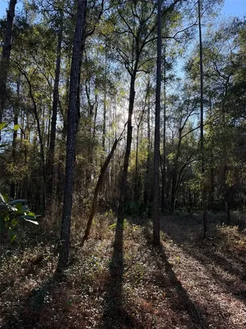 Tbd NE 150 Avenue Fort Mc Coy FL 32134