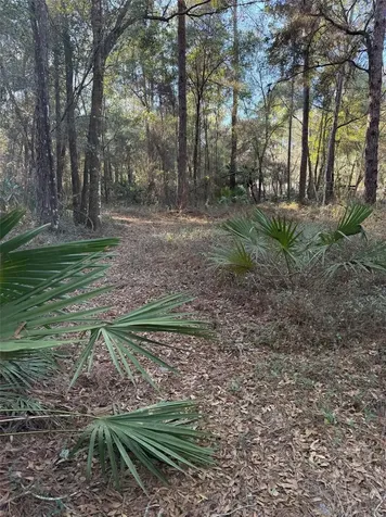 Tbd NE 150 Avenue Fort Mc Coy FL 32134