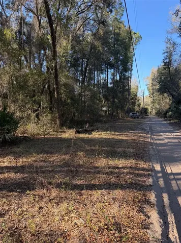 Tbd NE 150 Avenue Fort Mc Coy FL 32134