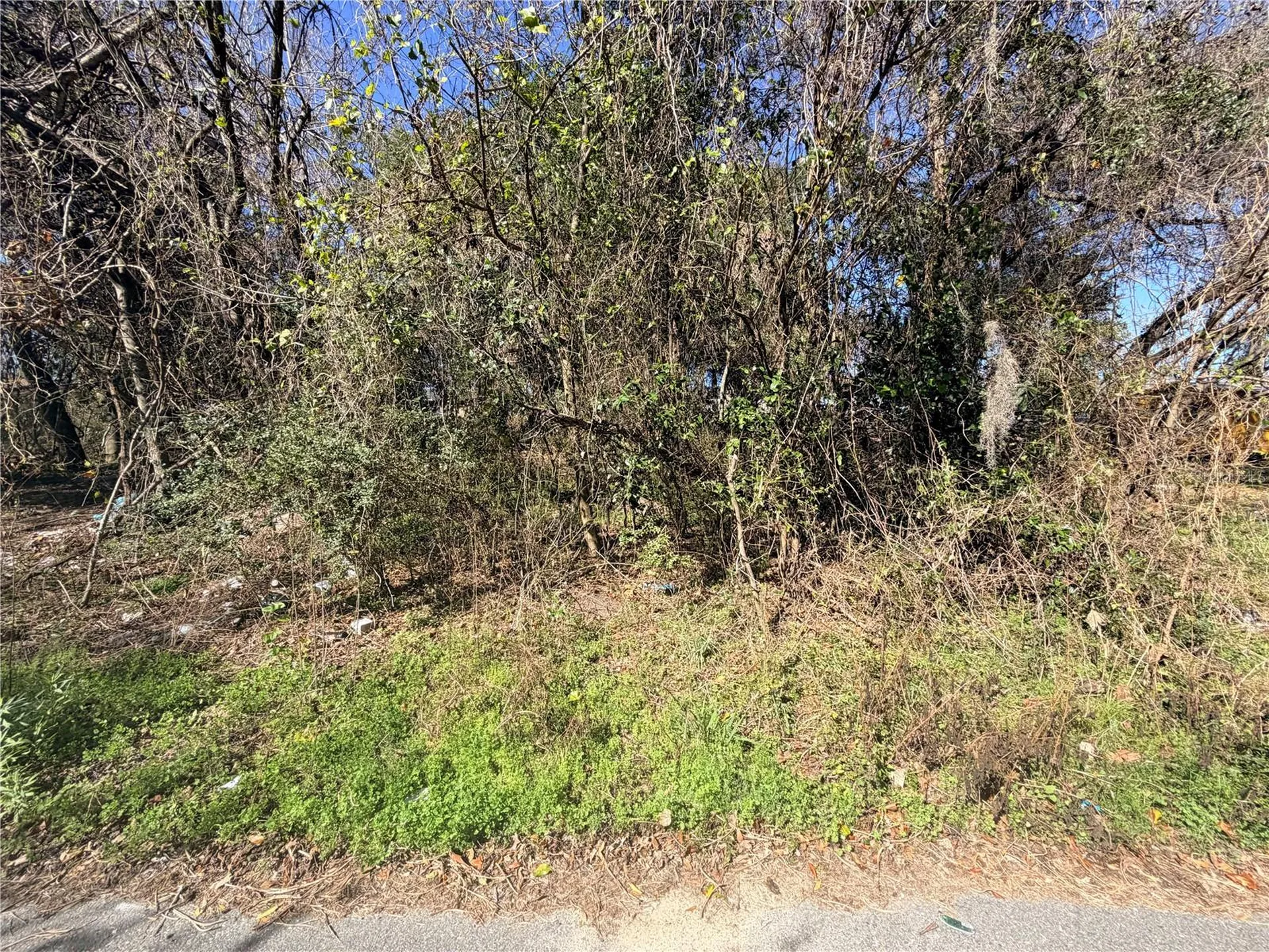 Tbd NW 151st Avenue Alachua FL 32615