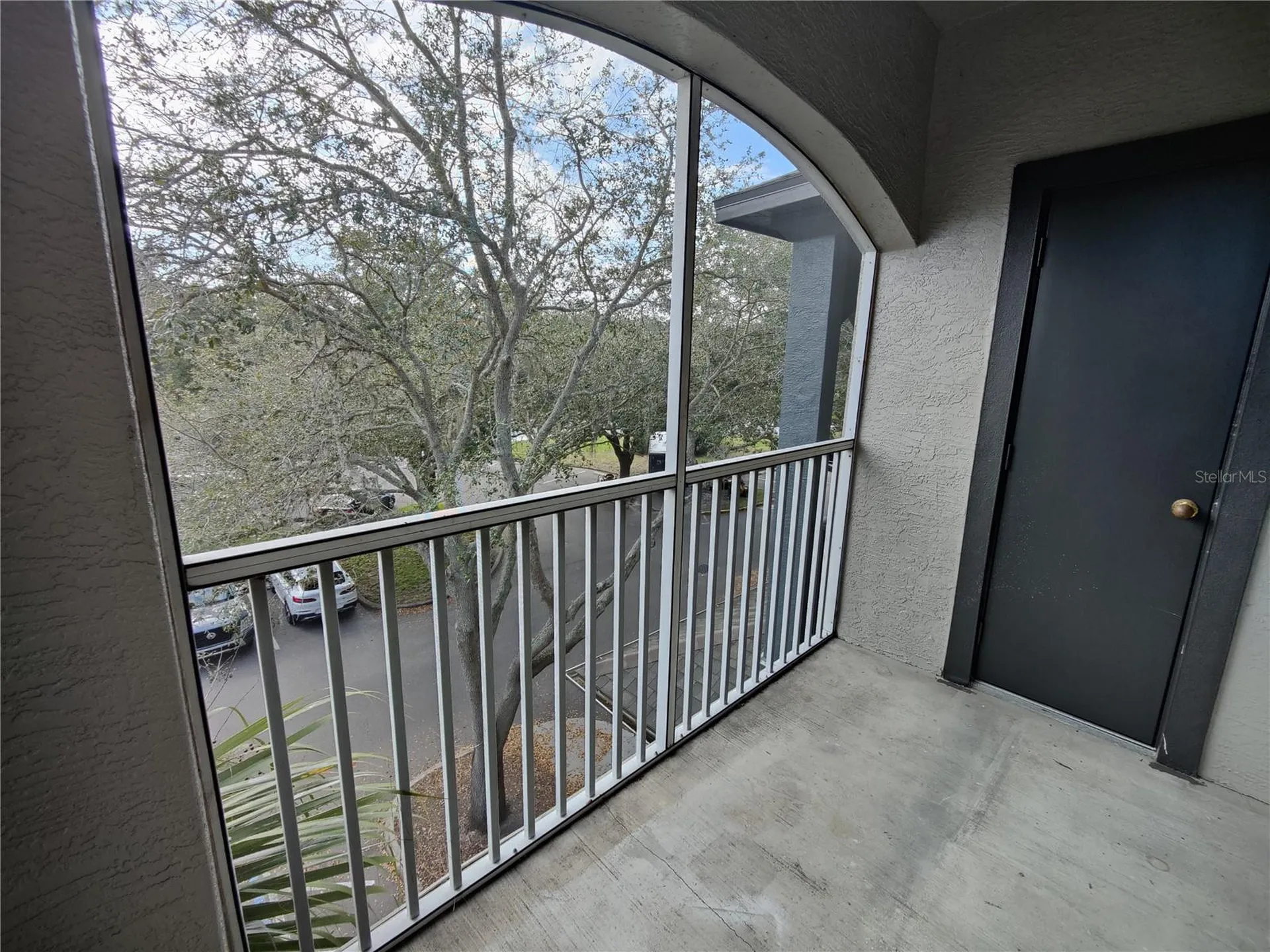 13215 Sanctuary Cove Drive Temple Terrace FL 33637