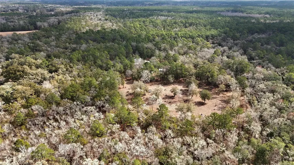 210 Tucker Springs Road Sopchoppy FL 32358