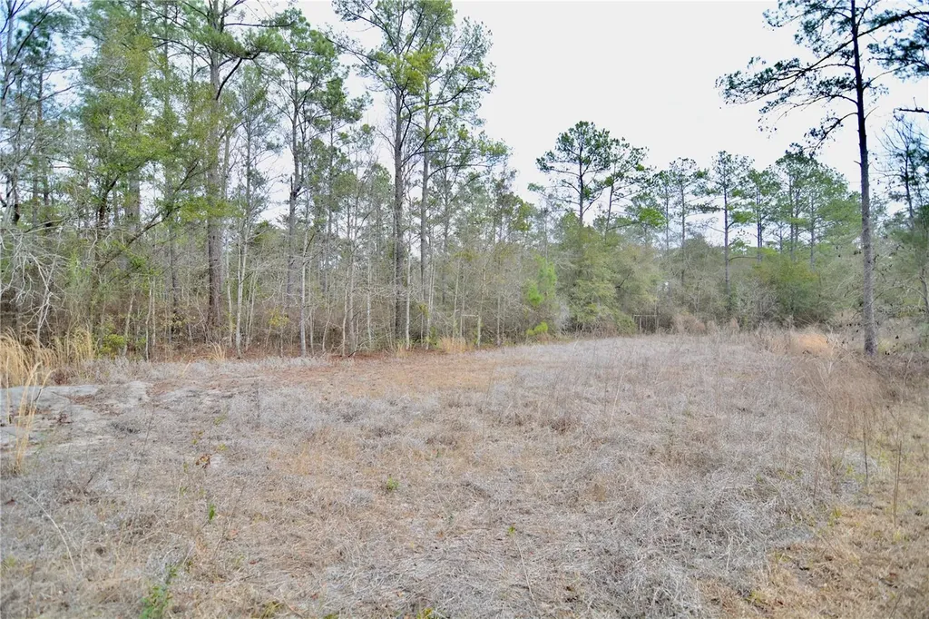 210 Tucker Springs Road Sopchoppy FL 32358