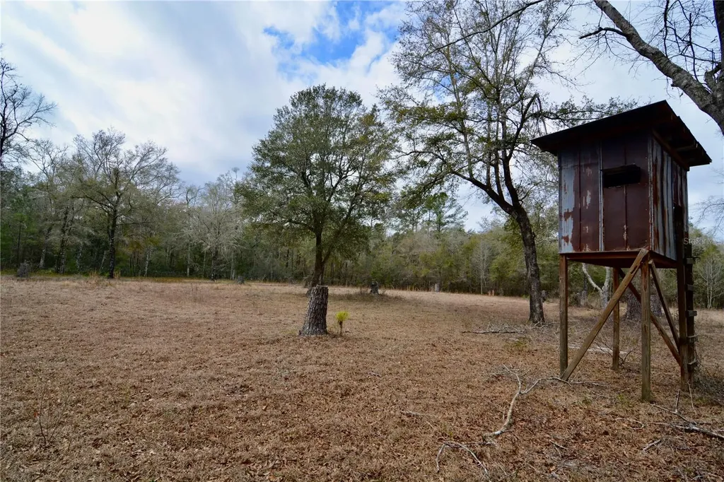 210 Tucker Springs Road Sopchoppy FL 32358
