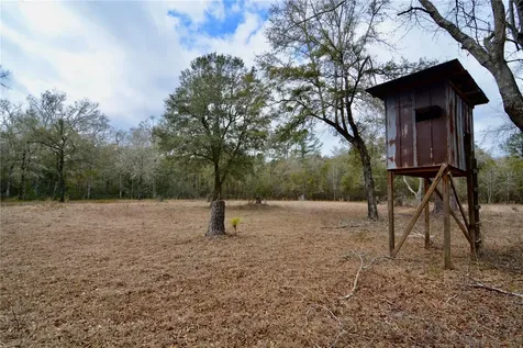 210 Tucker Springs Road Sopchoppy FL 32358