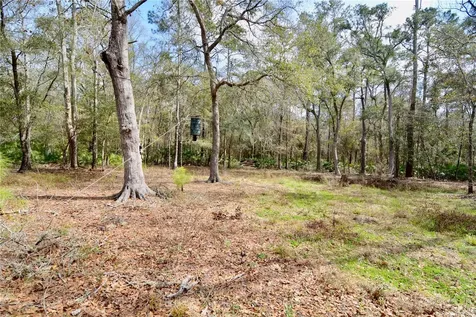 210 Tucker Springs Road Sopchoppy FL 32358