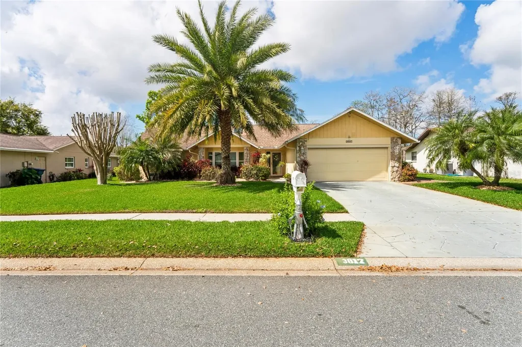 3817 Erin Brook Drive New Port Richey FL 34655