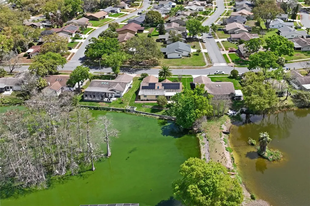 3817 Erin Brook Drive New Port Richey FL 34655