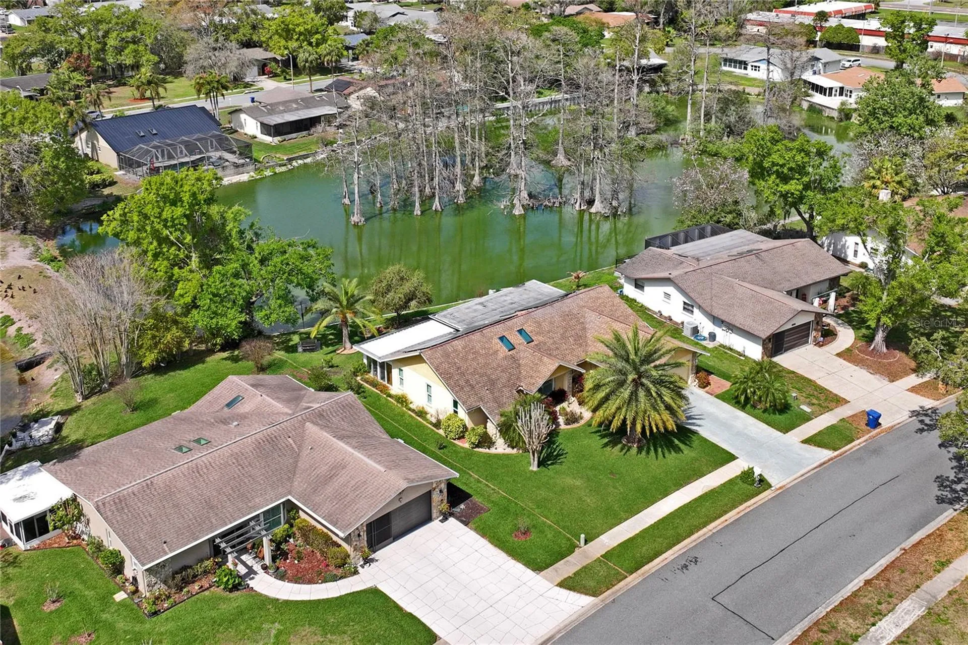 3817 Erin Brook Drive New Port Richey FL 34655