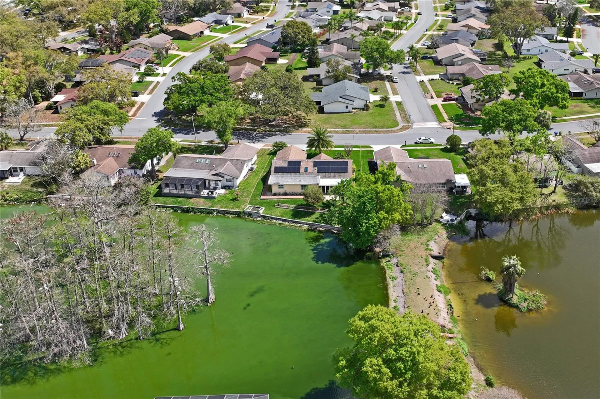 3817 Erin Brook Drive New Port Richey FL 34655