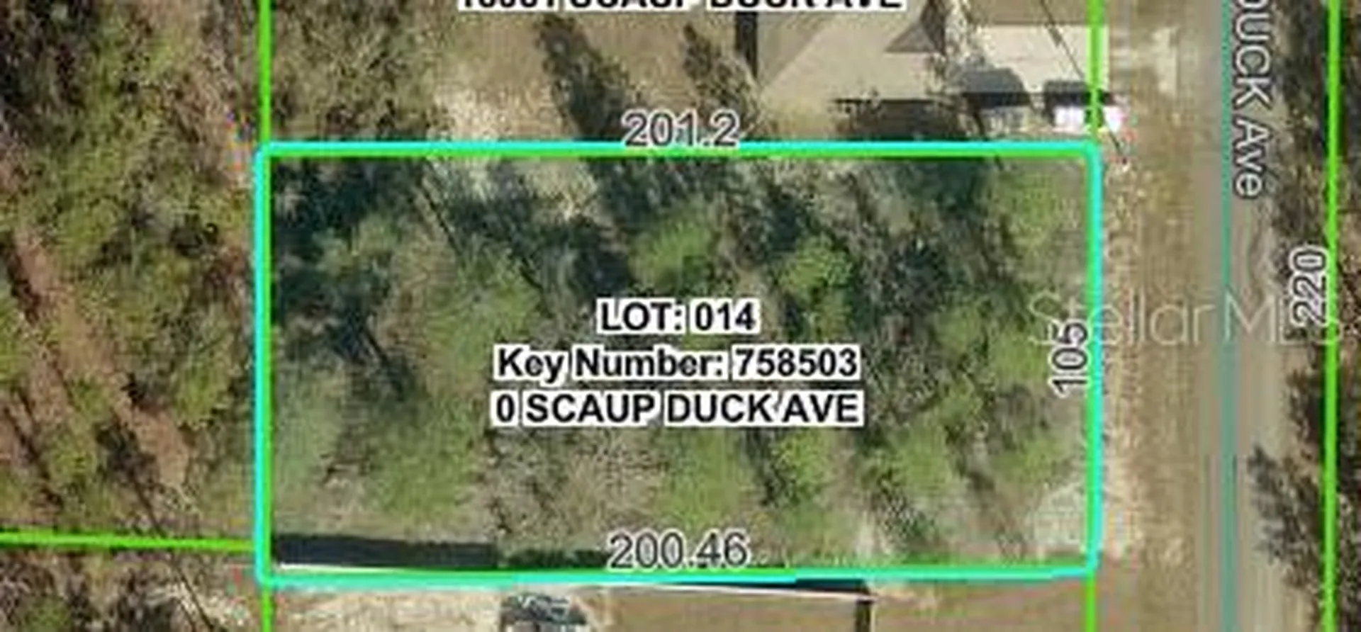 16051 Scaup Duck Avenue Weeki Wachee FL 34614