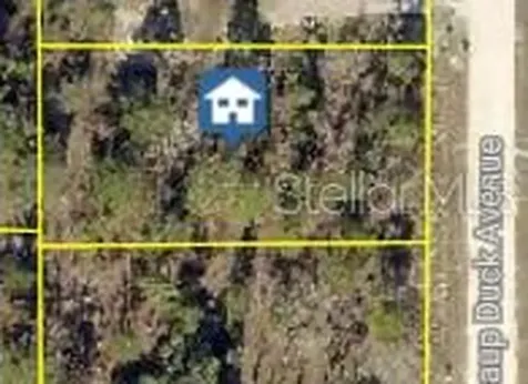 16051 Scaup Duck Avenue Weeki Wachee FL 34614