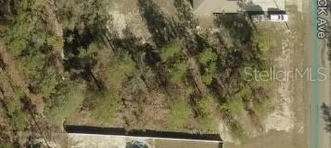 16051 Scaup Duck Avenue Weeki Wachee FL 34614