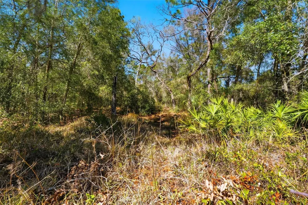 9255 Grouse Way Hudson FL 34669