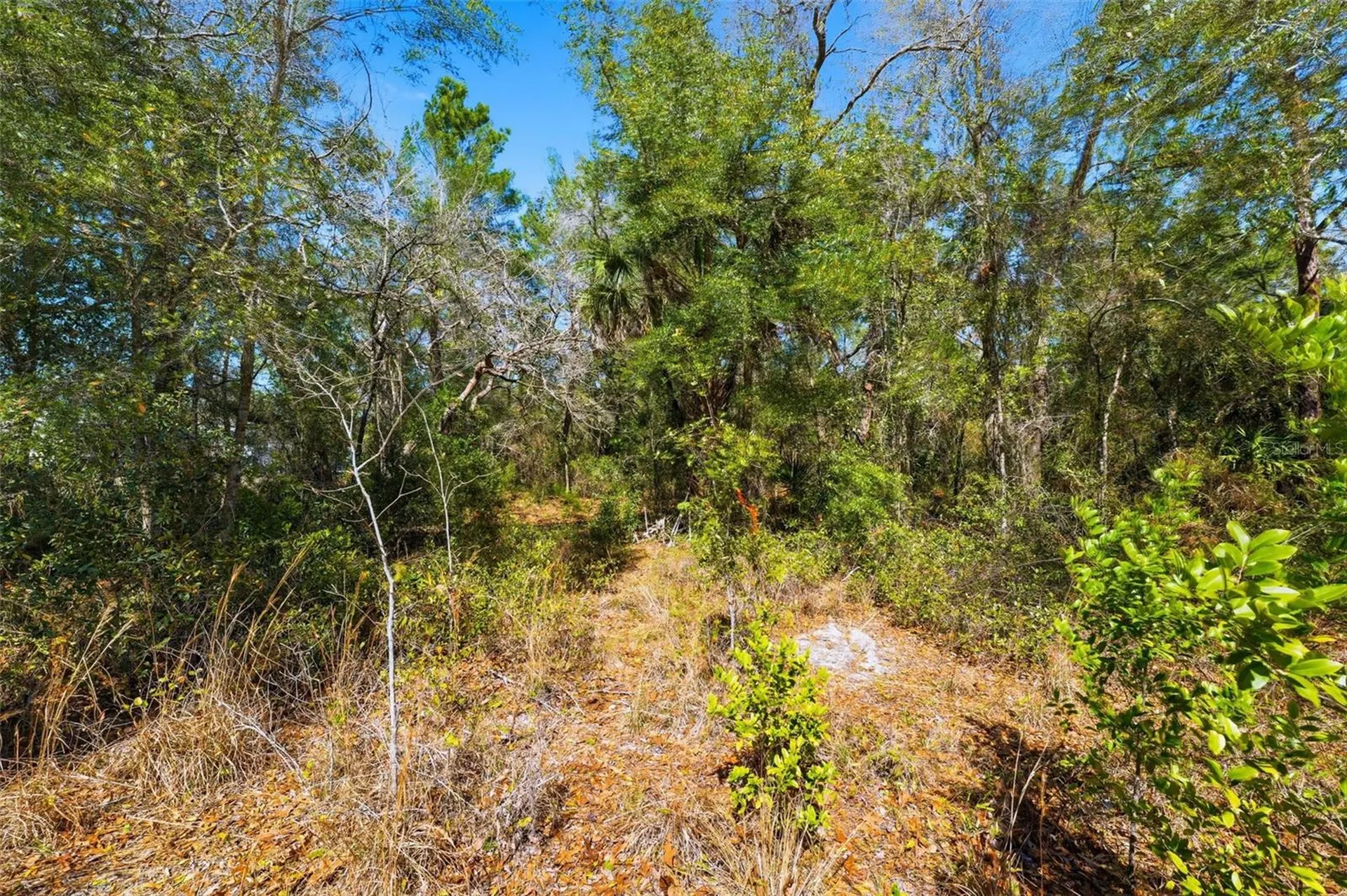 9255 Grouse Way Hudson FL 34669