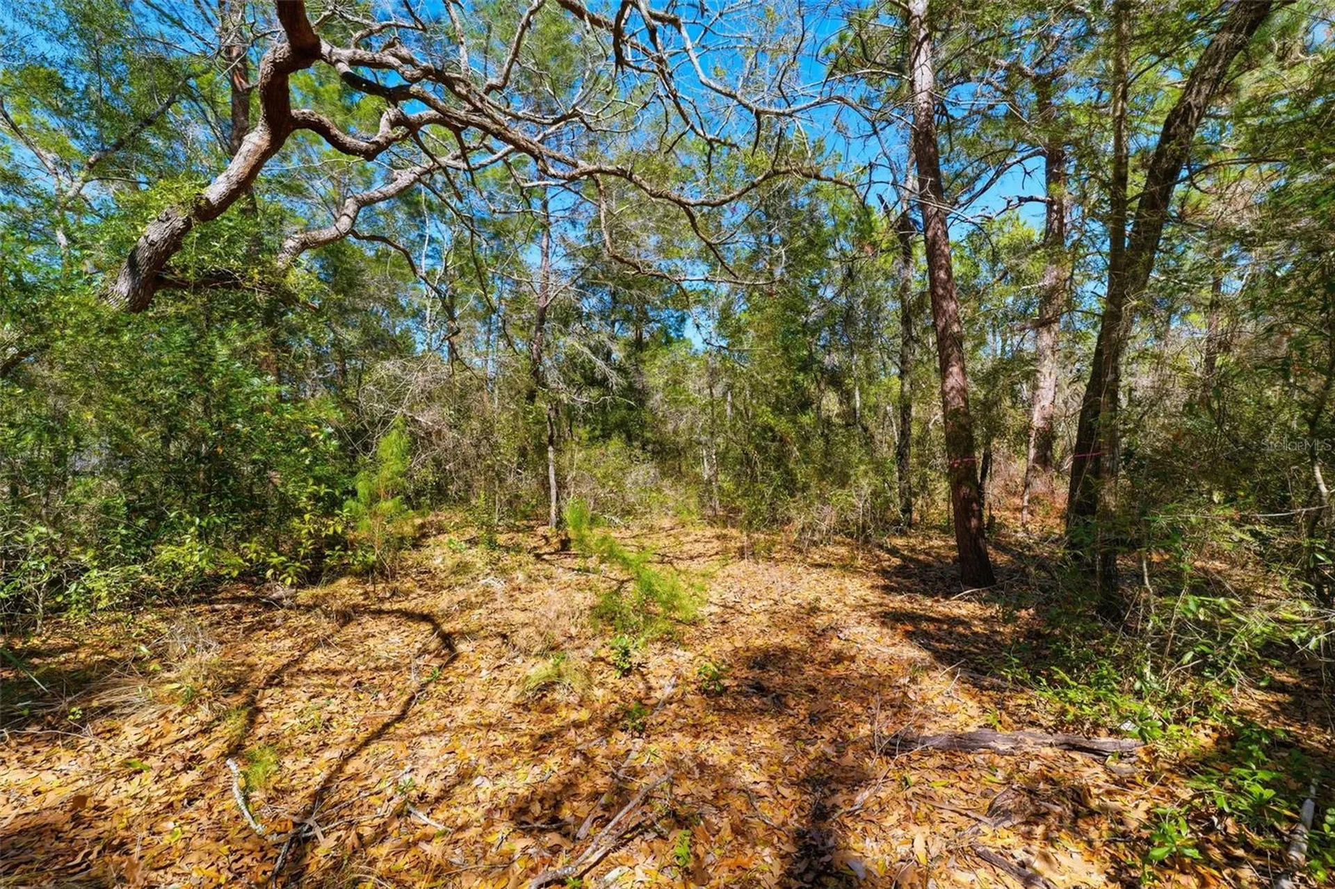 9255 Grouse Way Hudson FL 34669