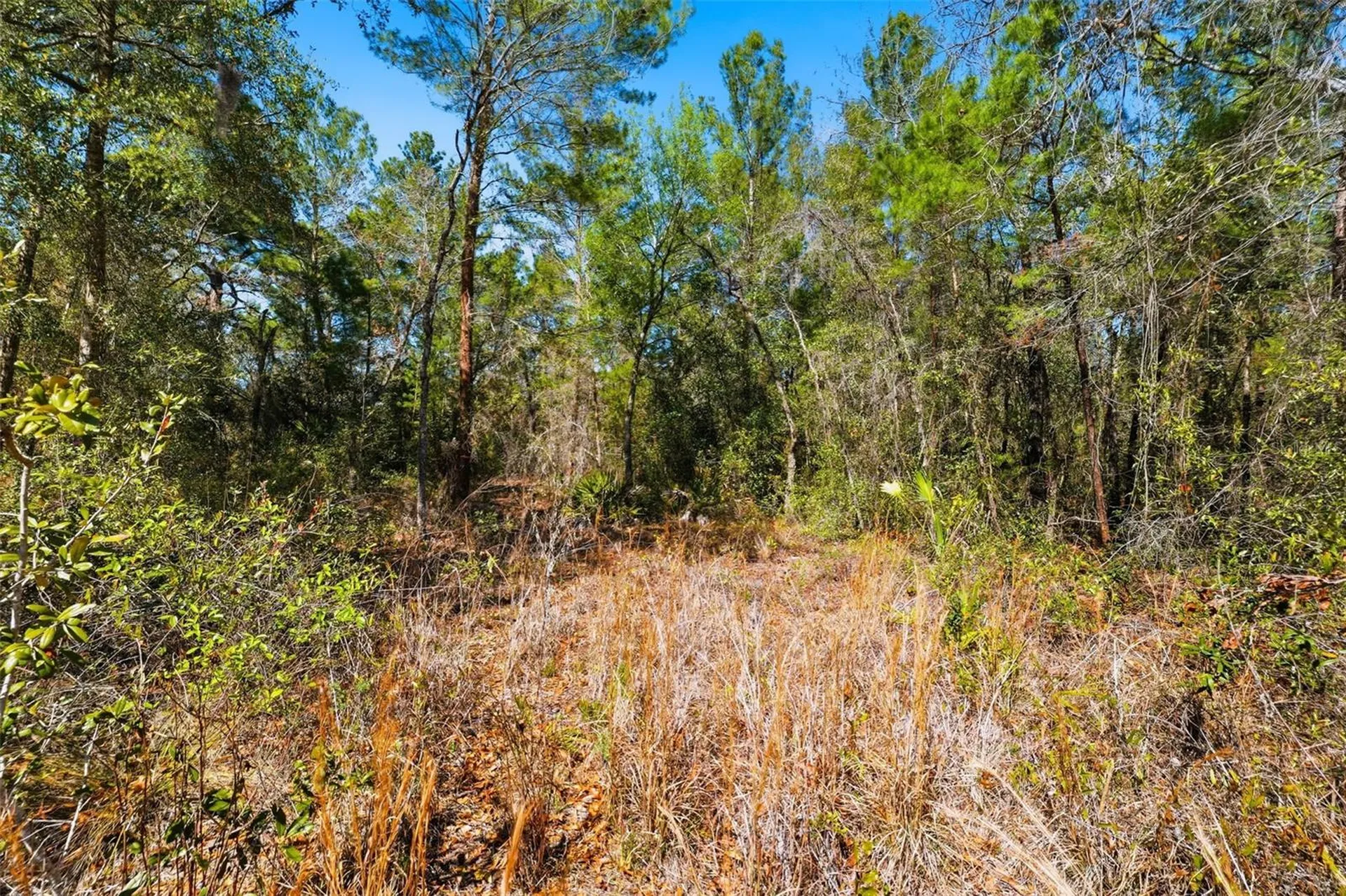 9255 Grouse Way Hudson FL 34669