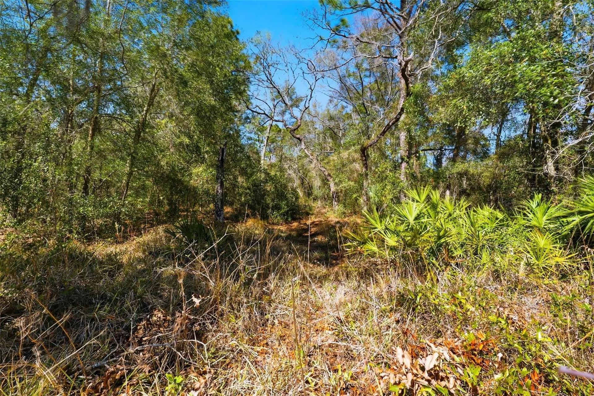 9255 Grouse Way Hudson FL 34669
