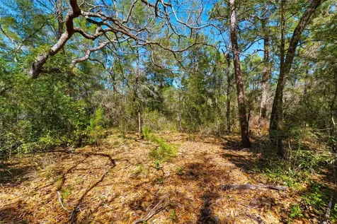 9255 Grouse Way Hudson FL 34669