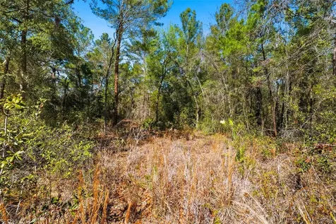 9255 Grouse Way Hudson FL 34669