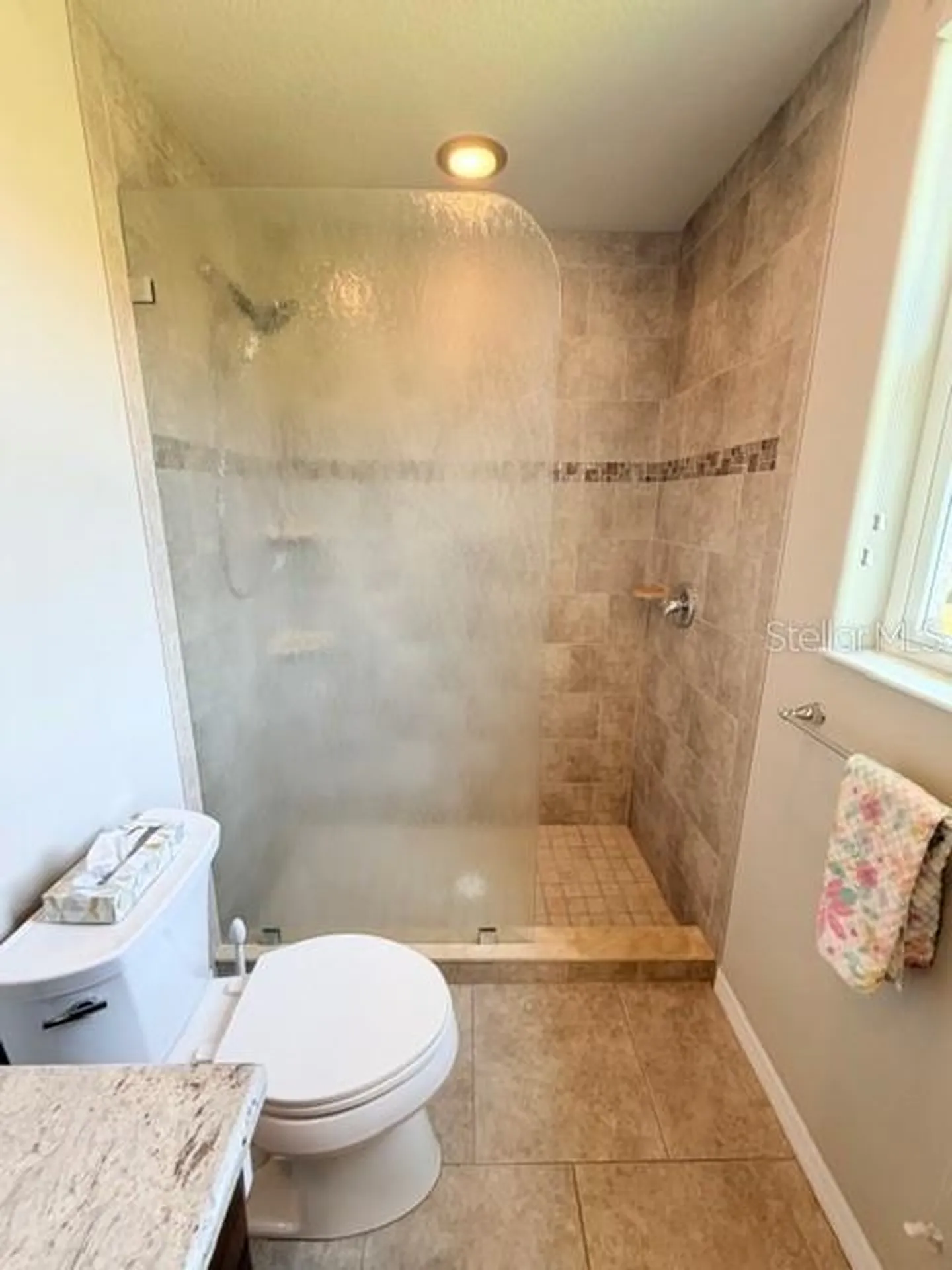 16214 Mulholland Road Parrish FL 34219