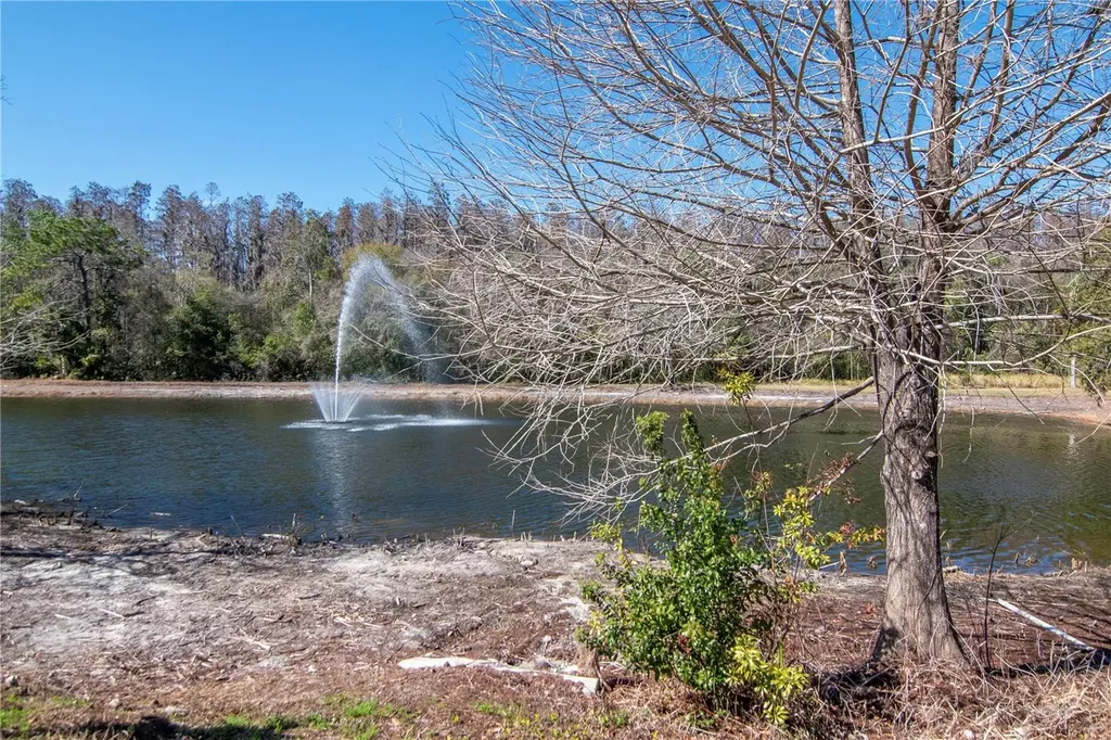 5100 Burchette Road Tampa FL 33647