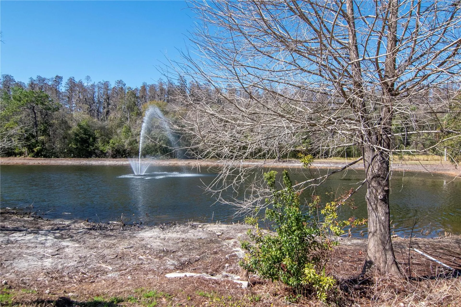 5100 Burchette Road Tampa FL 33647