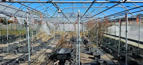 3557 Kokomo Road Haines City FL 33844