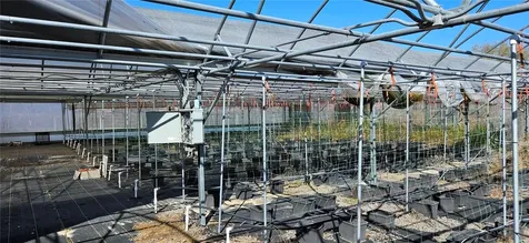 3557 Kokomo Road Haines City FL 33844