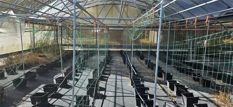 3557 Kokomo Road Haines City FL 33844